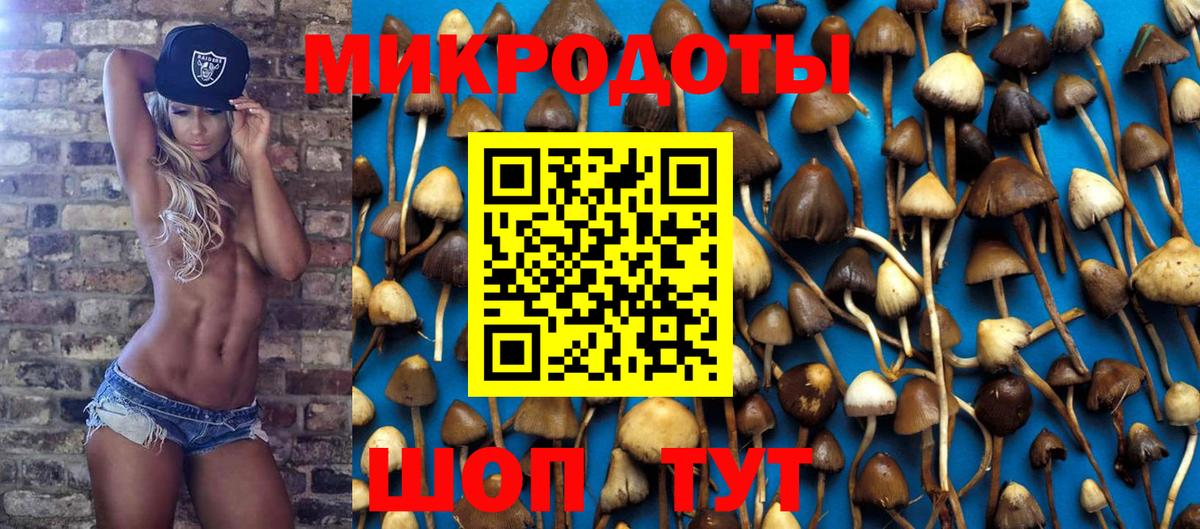 Галлюциногенные грибы GOLDEN TEACHER Самара