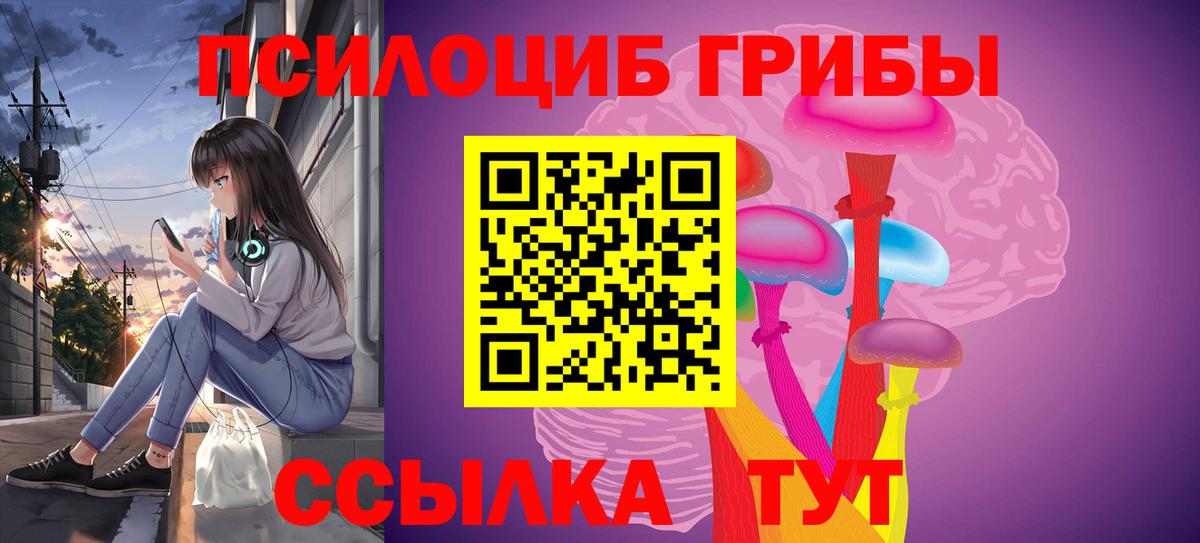 Галлюциногенные грибы Psilocybe  Вход с VPN  Самара 